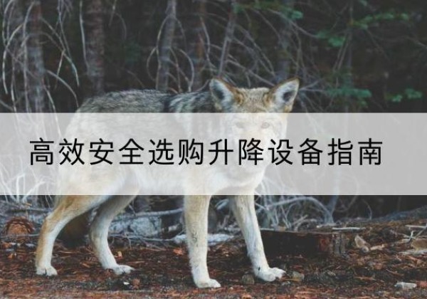富锦升降货梯厂家推荐-*安全选购升降设备指南