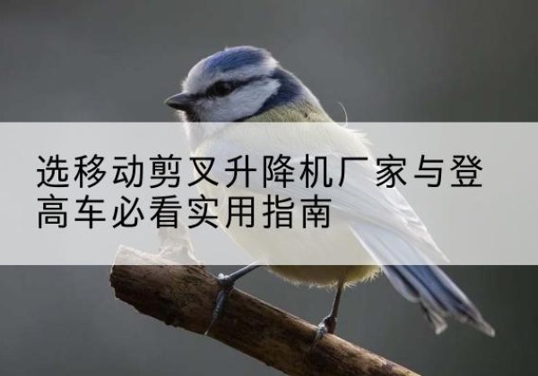 富锦电动升降机厂家-选移动剪叉升降机厂家与登高车必看实用指南
